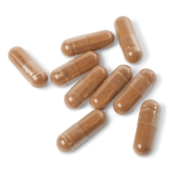 Гортензия TSN для половой сферы при цистите и простатите