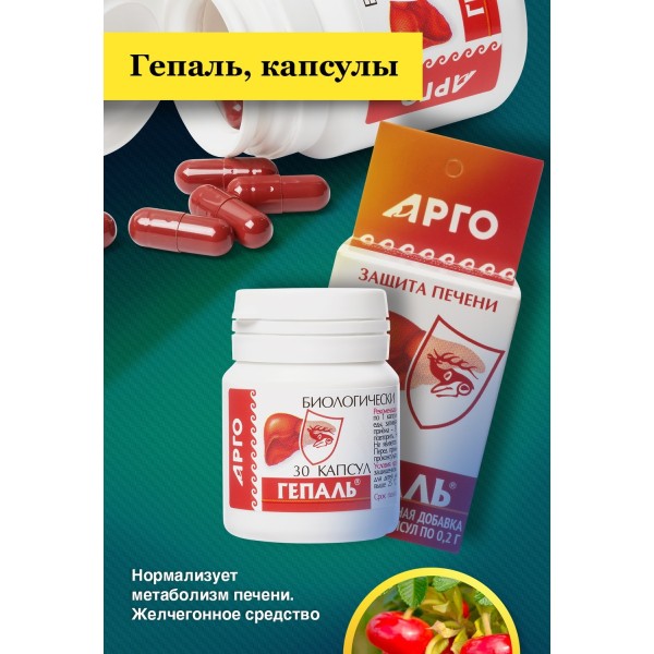 Гепаль гепатозащитное и желчегонное средство