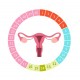 Средства при нарушениях менструального цикла
